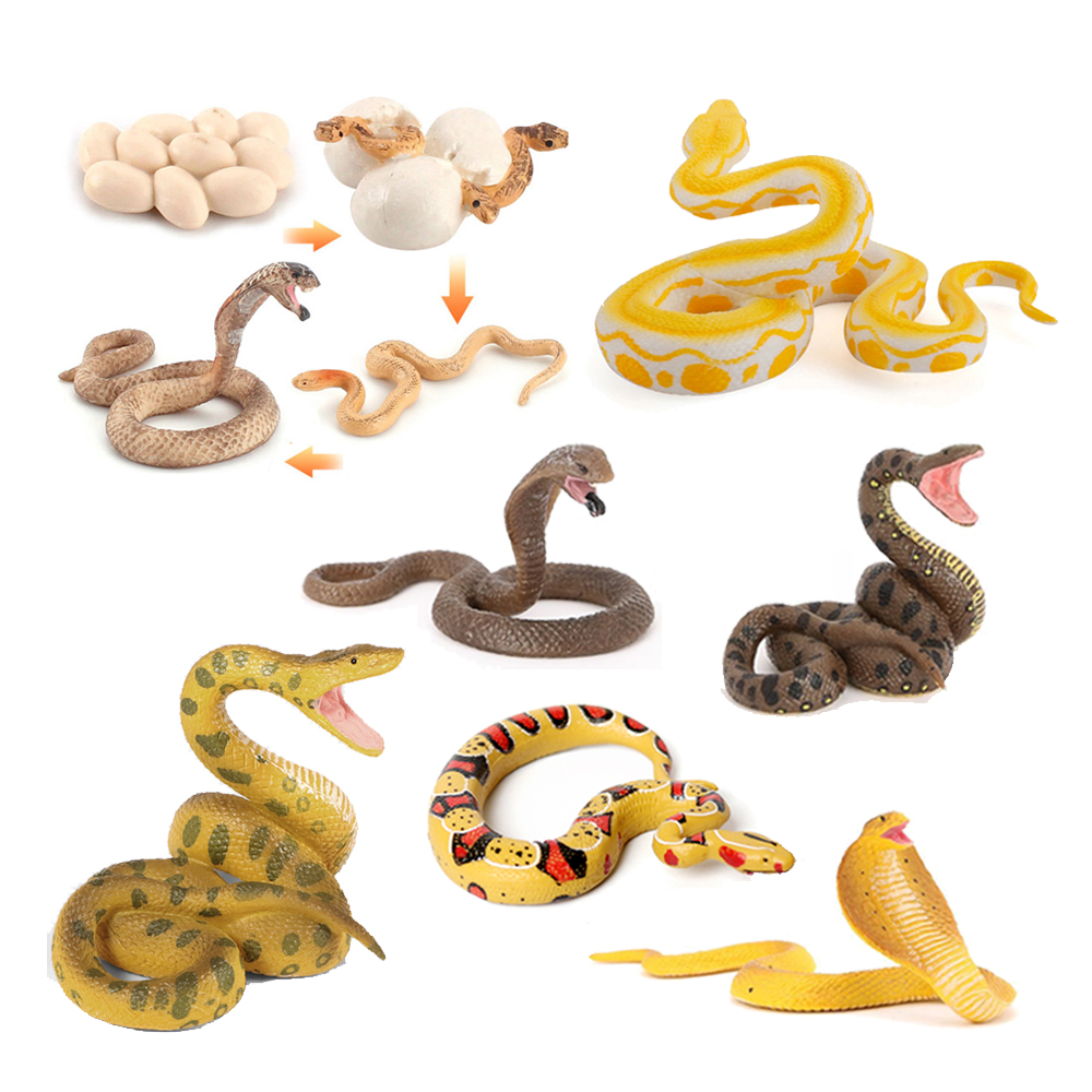 Kids Toys Review - Snakes Figures Python Krait Cobra Snake