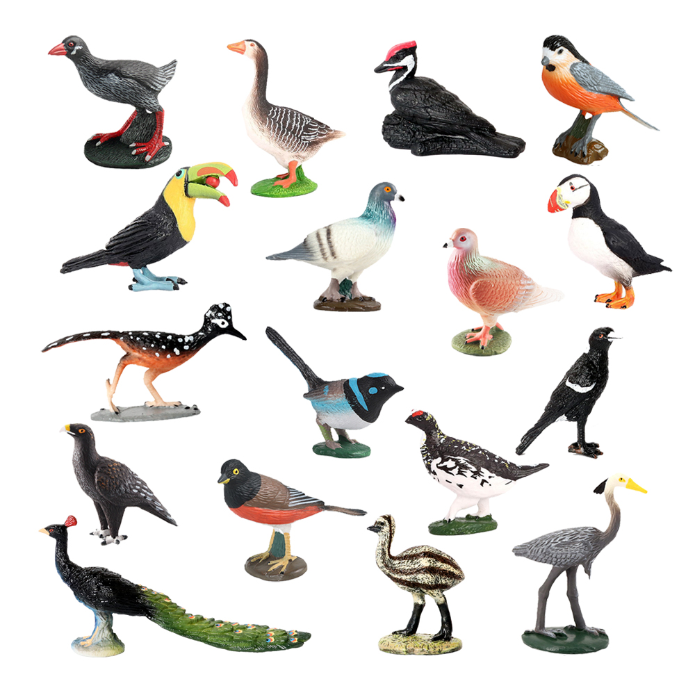 Owl Flamingo Turkey Toucan Sea - Kids Toys Review のレビューと価格