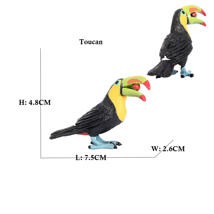 Owl Flamingo Turkey Toucan Sea - Kids Toys Review のレビューと価格