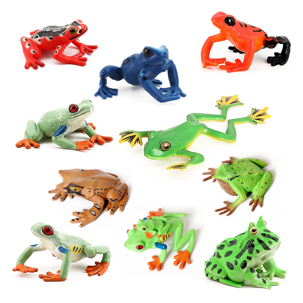 Rainforest Animals Frogs Figur - Kids Toys Review のレビューと価格