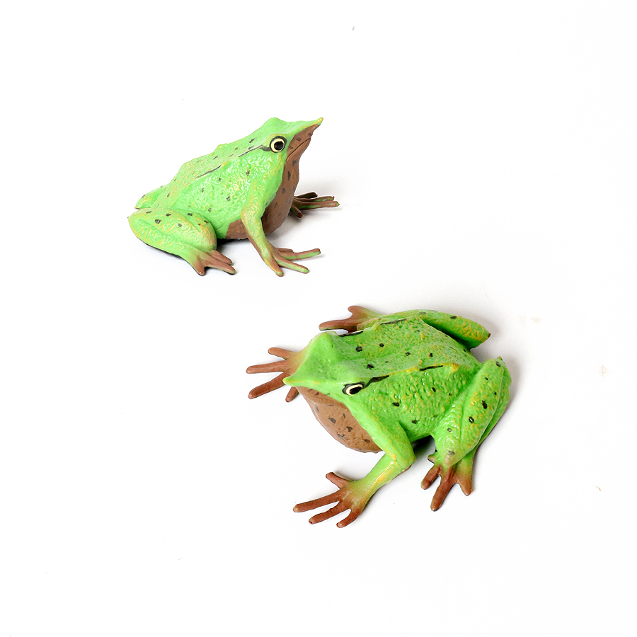 Rainforest Animals Frogs Figur - Kids Toys Review のレビューと価格