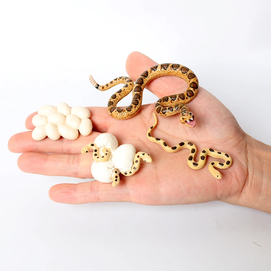 Snakes Figures Python Krait Co - Kids Toys Review のレビューと価格