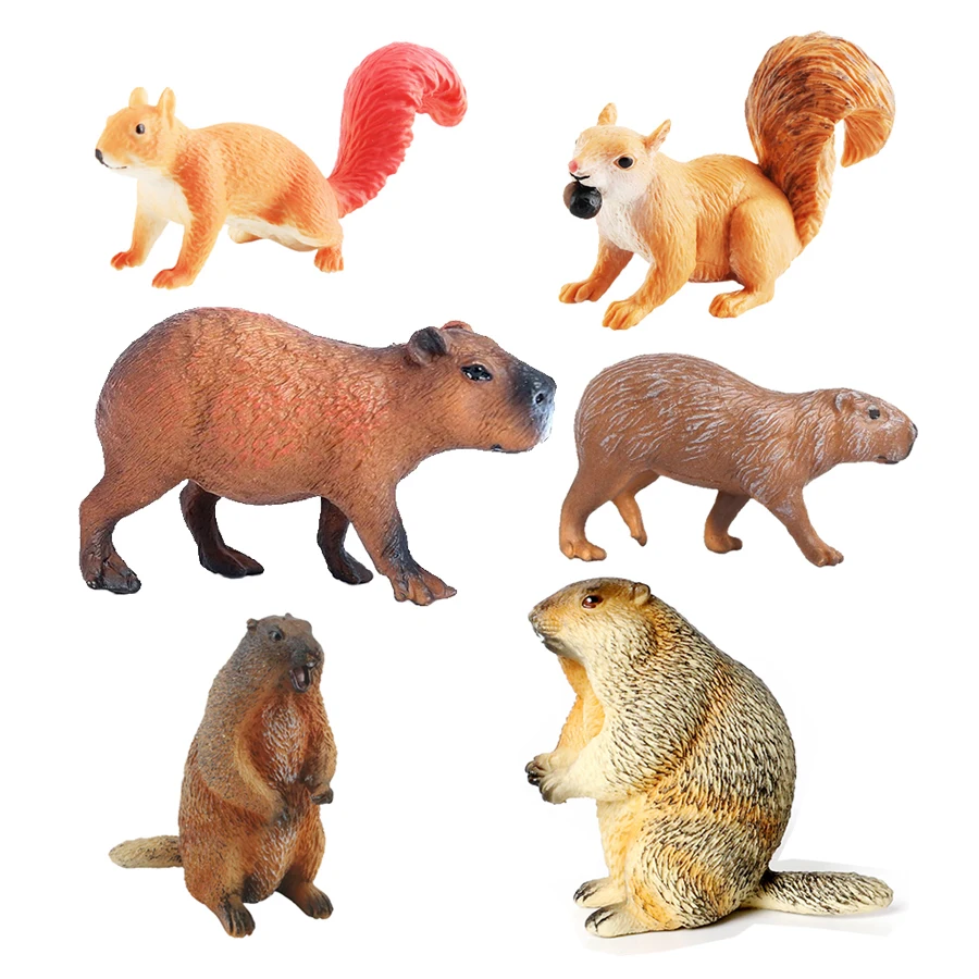 Capibara Capybaras Squirrel Ma - Kids Toys Review のレビューと価格