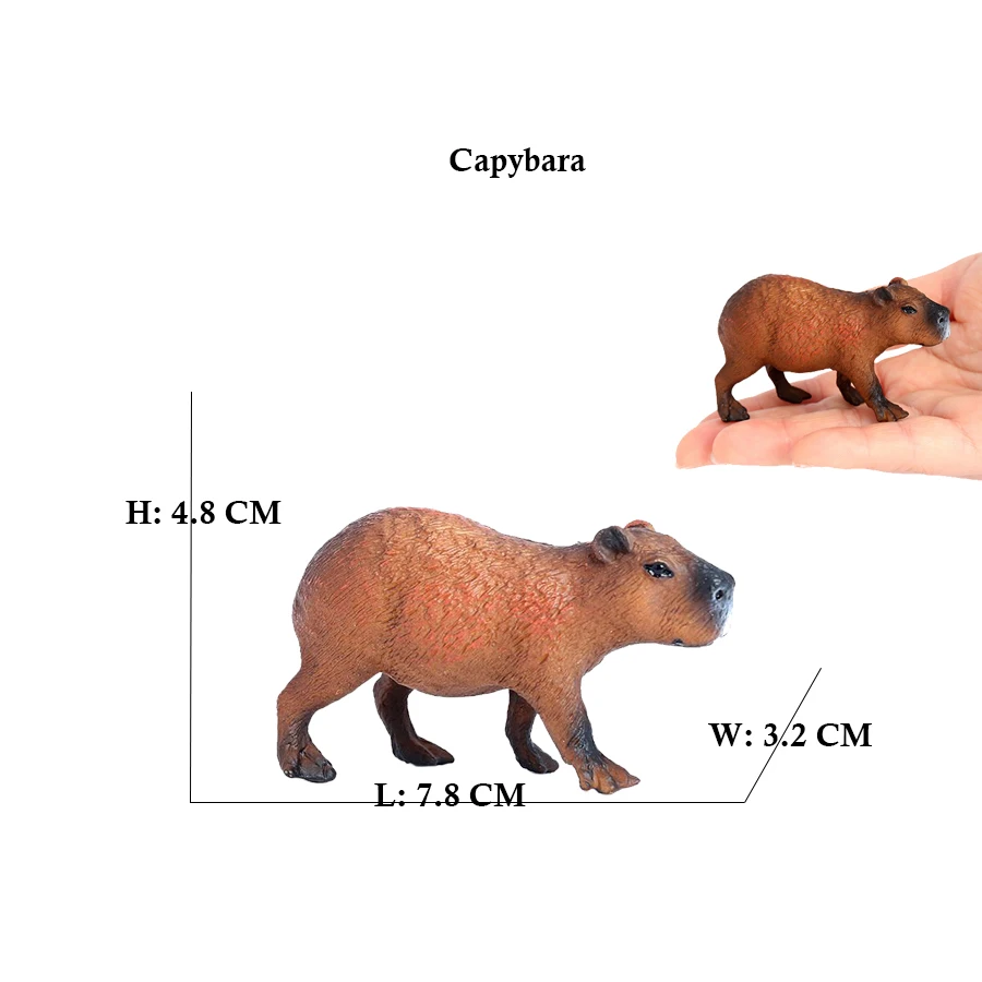 Capibara Capybaras Squirrel Ma - Kids Toys Review のレビューと価格