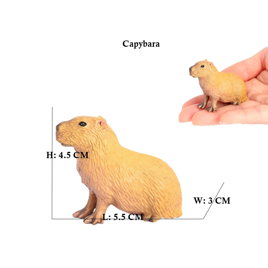 Capibara Capybaras Squirrel Ma - Kids Toys Review のレビューと価格