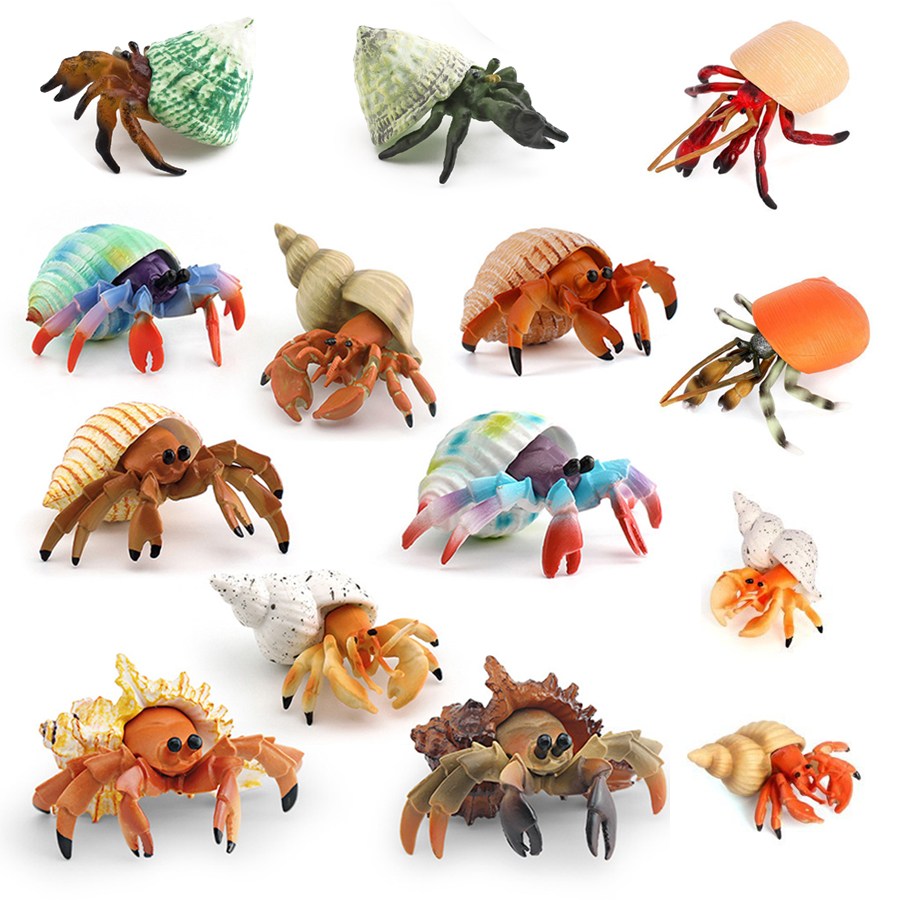 Realistic Hermit Crab Figurine - Kids Toys 3 Year Old のレビューと価格
