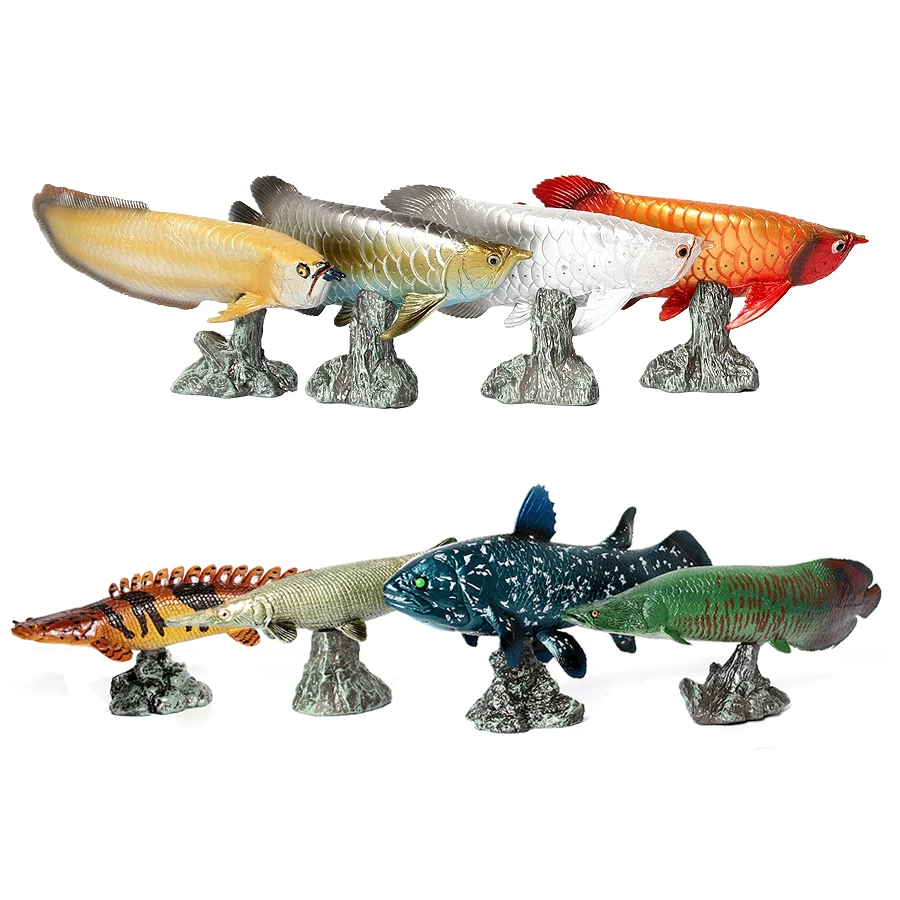 Arowana Pirarucu Coelacanth Bi - Kids Toys Review のレビューと価格