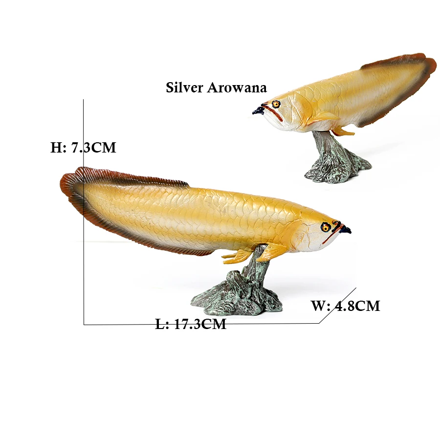 Arowana Pirarucu Coelacanth Bi - Kids Toys Review のレビューと価格
