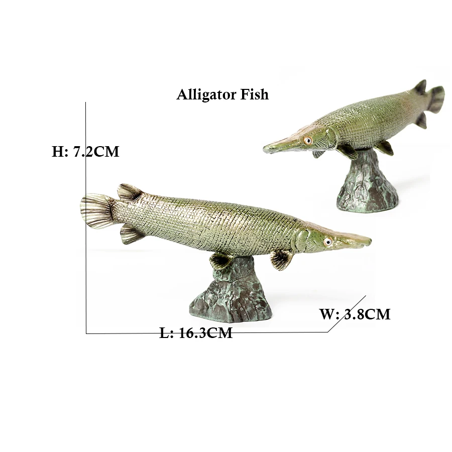 Arowana Pirarucu Coelacanth Bi - Kids Toys Review のレビューと価格