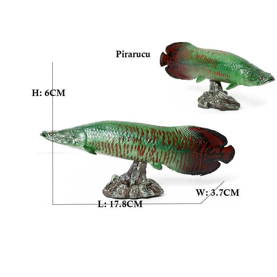 Arowana Pirarucu Coelacanth Bi - Kids Toys Review のレビューと価格