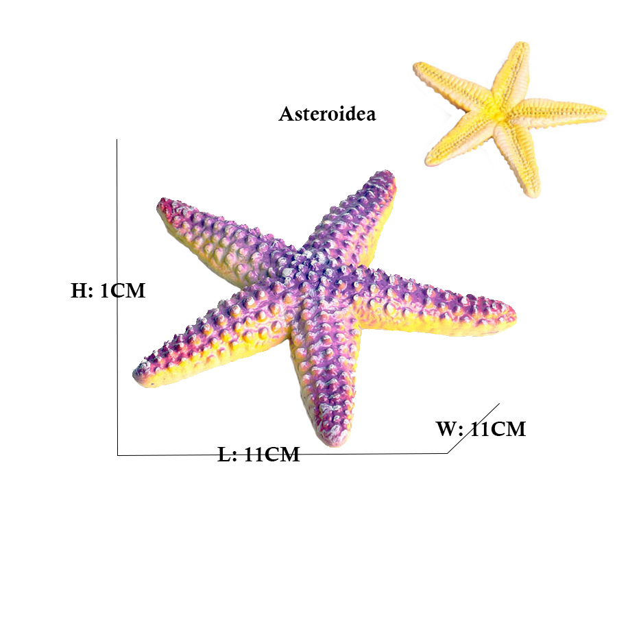 Marine Toys Jellyfish Seahorse - Kids Toys Review のレビューと価格