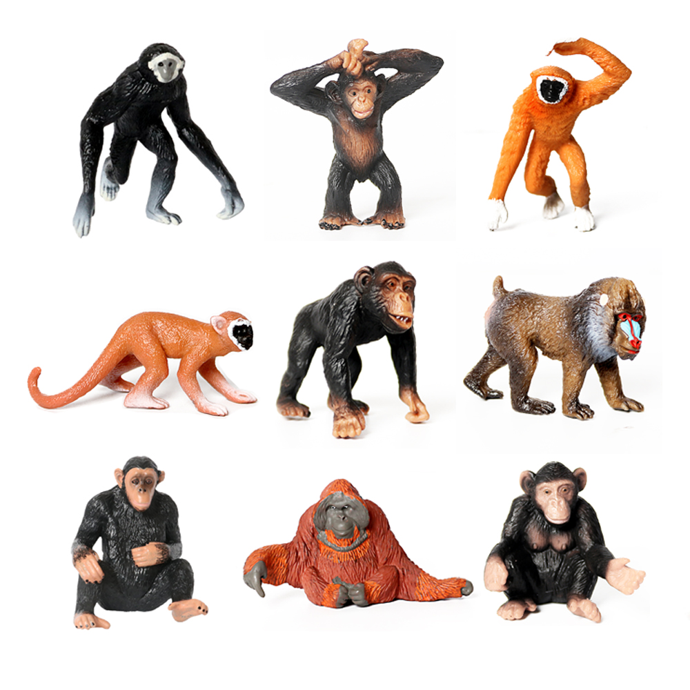 Plastic Monkey Model Toys Ape  - Kids Toys Review のレビューと価格