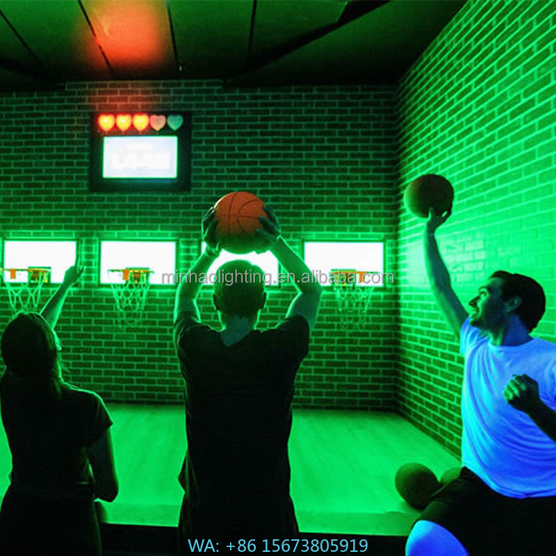Interactive Indoor Basketball  - Basketball Hoop Kids Indoor のレビューと価格