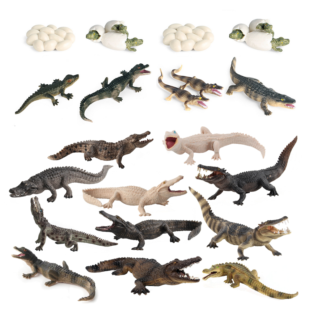 Toy of crocodile Figure Toys A - Kids Toys Review のレビューと価格