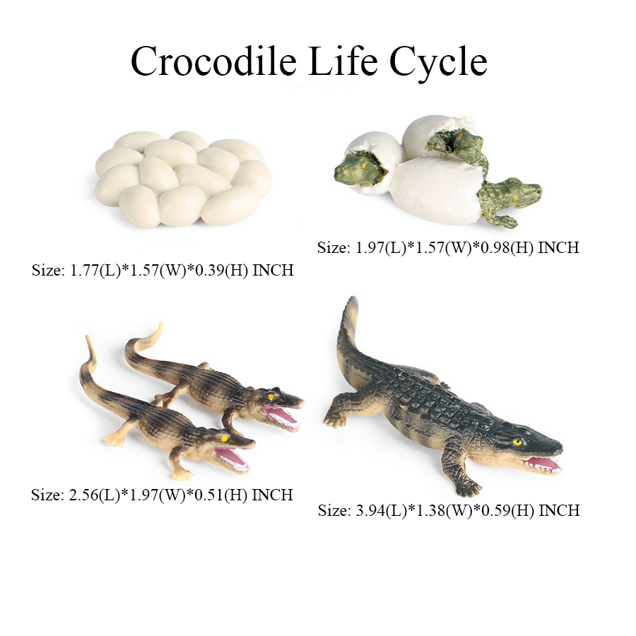 Toy of crocodile Figure Toys A - Kids Toys Review のレビューと価格