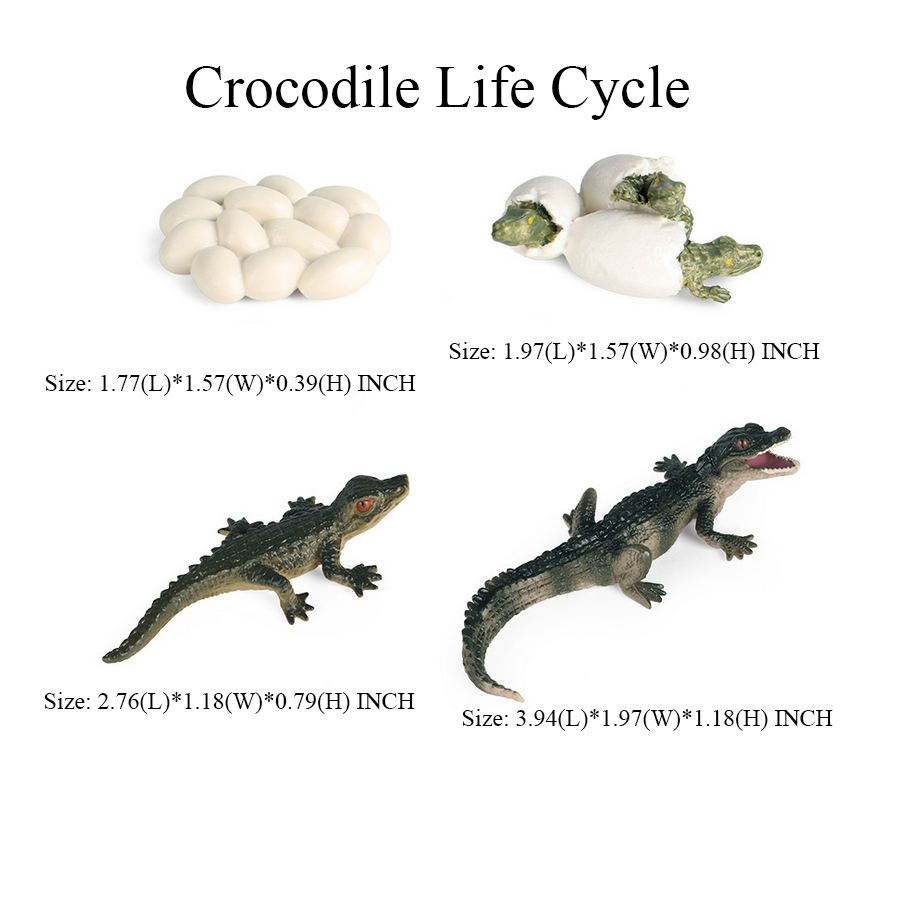 Toy of crocodile Figure Toys A - Kids Toys Review のレビューと価格